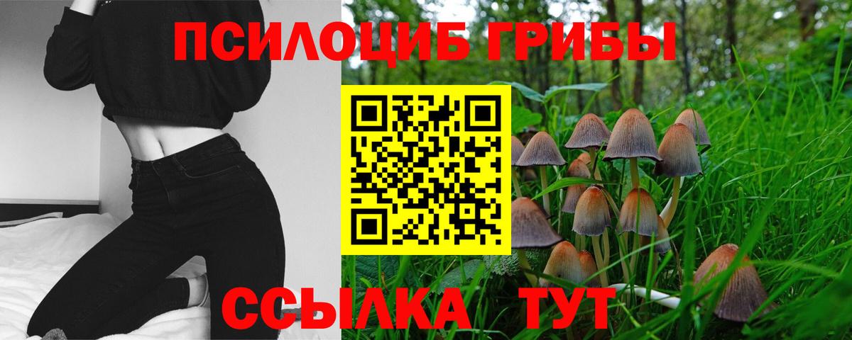 Мурманск  Псилоцибиновые грибы Psilocybine cubensis  Псилоцибиновые грибы Cubensis  Вход с VPN 