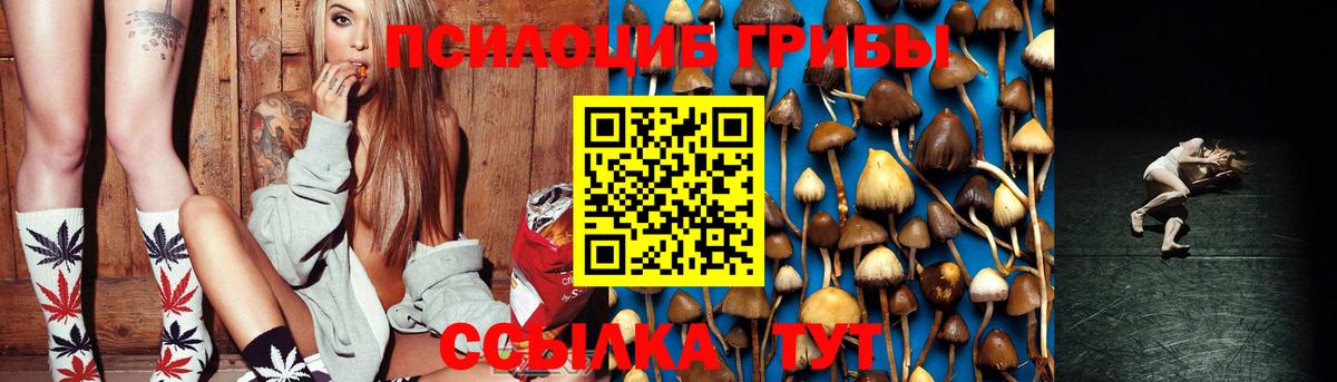 Псилоцибиновые грибы ЛСД Мурманск